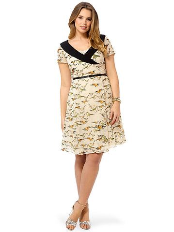 Vintage Bird Fit & Flare Dress