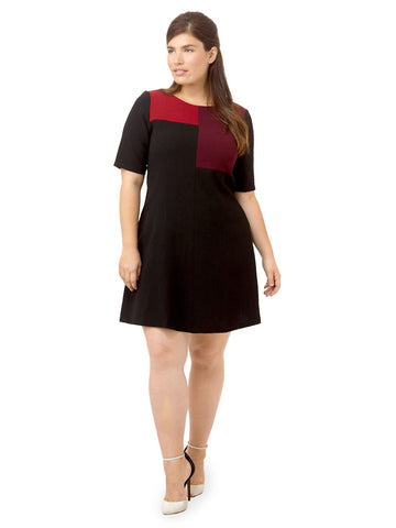 Colorblock Swing Dress